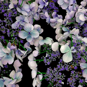 Psicoterapia en Bilbao