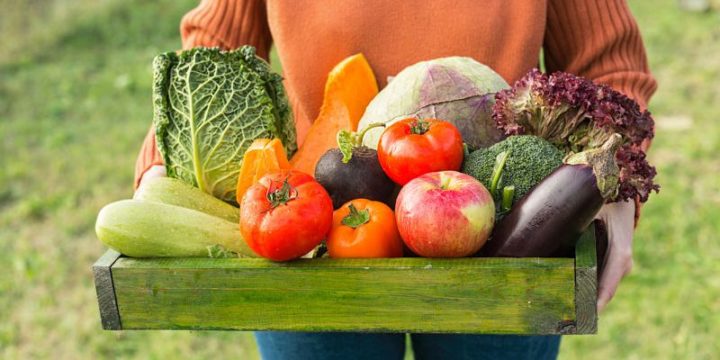 ¿Lo que como afecta al medioambiente?