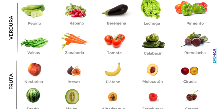 Frutas, verduras y hortalizas: mes de Junio